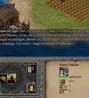 Win in Age of Empires II