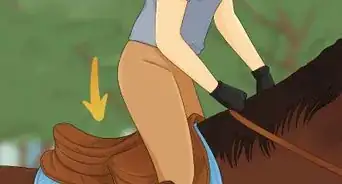 Prepare to Ride a Horse