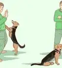 How to Stop a Dog from Jumping Up on People