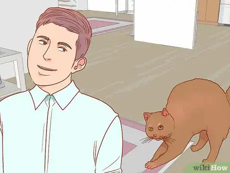 Image titled Know if Your Cat Is Afraid of Something Step 14