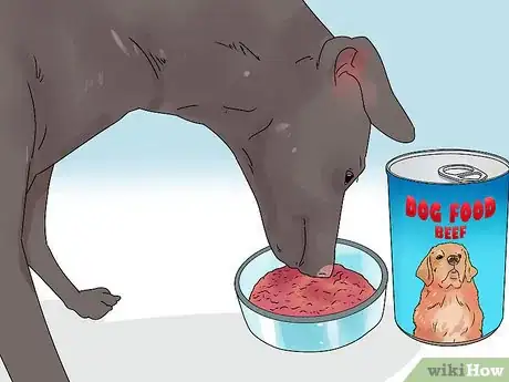 Image titled Build a Dog's Muscles Step 5