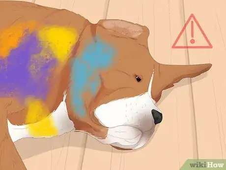 Image titled Dye Your Pet Step 16