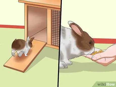 Image titled Teach Your Rabbit to Go Back to His Hutch Step 9