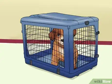 Image titled Treat Kennel Cough Step 5