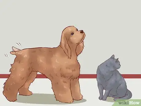 Image titled Discipline Cats Step 1