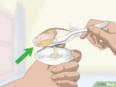 Image titled Eat Clams Step 4