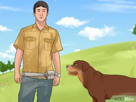 Image titled Get a Dog to Stop Pulling Clothes off the Line Step 2