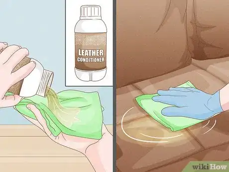 Image titled Remove Cat Spray or Pee from a Leather Couch Step 4