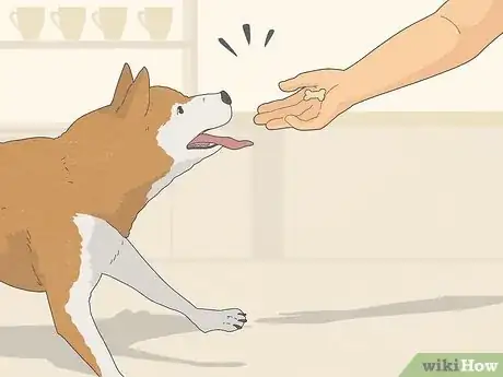 Image titled Train a Dog to Not Be Clingy Step 17
