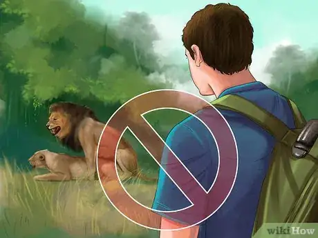 Image titled Survive a Lion Attack Step 9