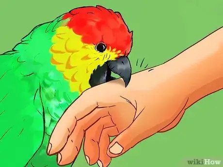 Image titled Know if an Amazon Parrot Is Right for You Step 9