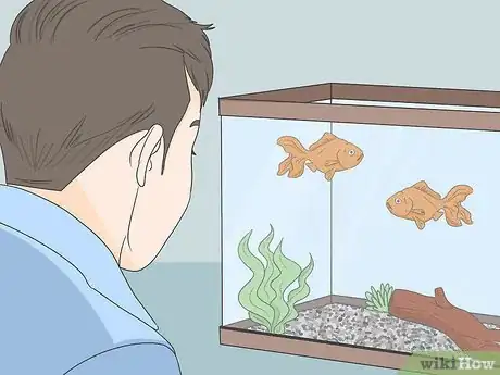 Image titled Enjoy Having Pet Fish Step 7