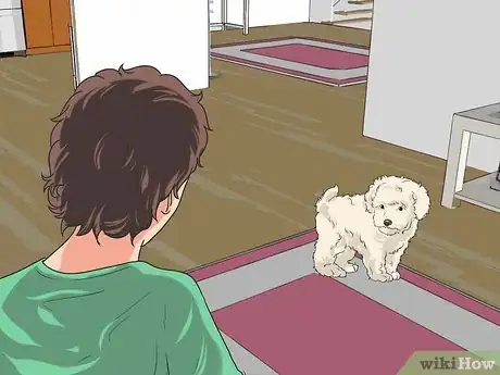 Image titled Train Your Dog from Running out of Your House Step 7