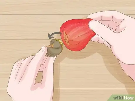 Image titled Grow Cashews Step 11