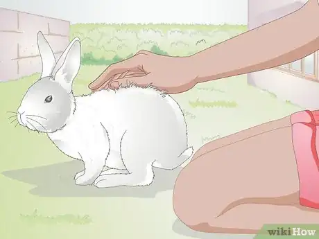Image titled Hold a Rabbit Step 2