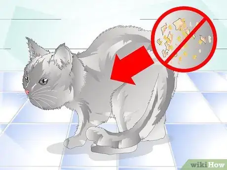 Image titled Get Rid of Cat Dandruff Step 3