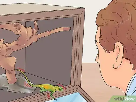 Image titled Build a Reptile Cage Step 12