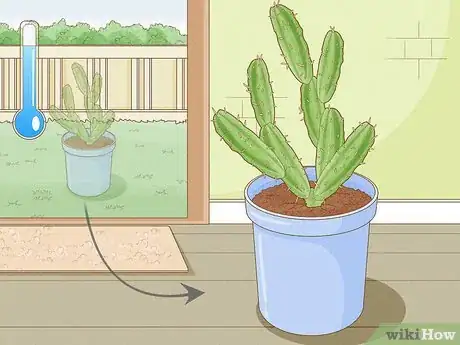 Image titled Grow Cactus in Containers Step 12