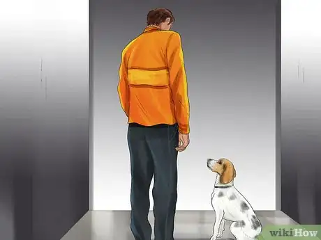 Image titled Get Rid Of Your Pup’s Elevator Phobia Step 3