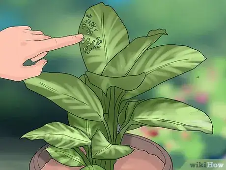 Image titled Remove Brown Tips From the Leaves of Houseplants Step 12