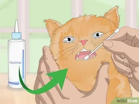 Image titled Treat Your Cat's Dental Problems Step 1