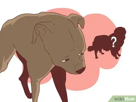 Image titled Help Your Dog Deal with the Death of Another Dog Step 6