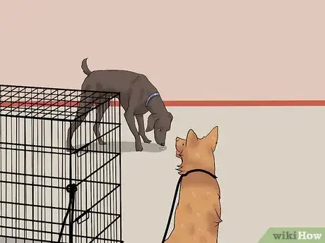 Image titled Get Your Dog to Swallow a Pill Step 12