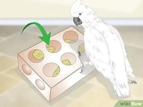 Image titled Feed a Cockatoo Step 12