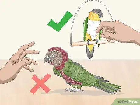 Image titled Pet a Bird Step 1