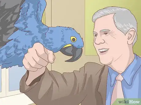 Image titled Tell the Sex of Parrots Step 9