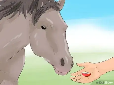 Image titled Approach Your Horse Step 8