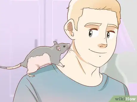 Image titled Care for a Pet Rat Step 21