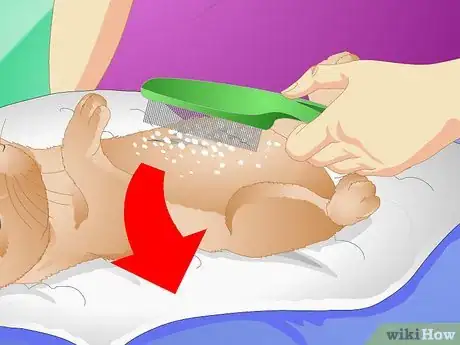 Image titled Clean Your Rabbit Without Bathing It Step 7