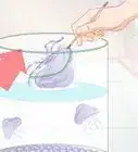 Start a Jellyfish Tank