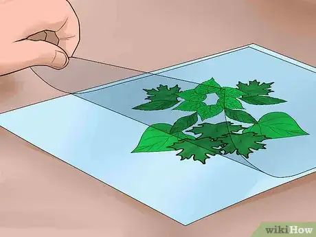 Image titled Make a Leaf Collage Step 11