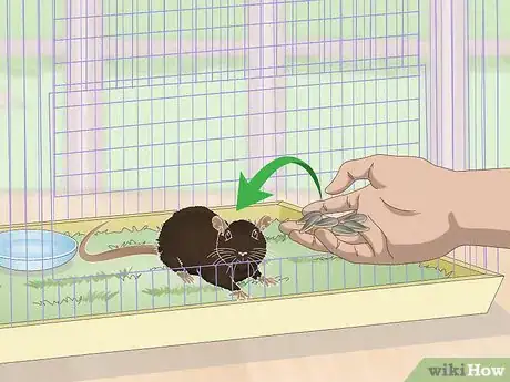 Image titled Deal with a Mouse That Bites or Scratches Step 2