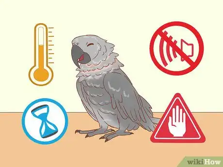 Image titled Treat Psittacosis in African Grey Parrots Step 8
