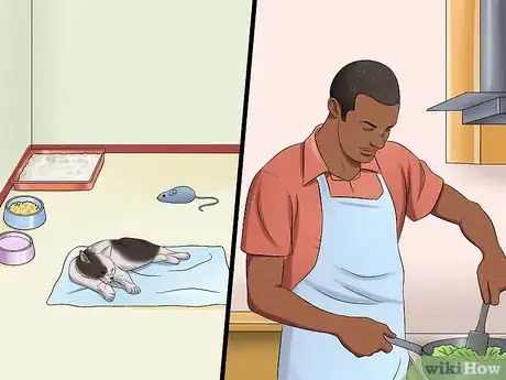 Image titled Prevent Cats from Jumping on Counters Step 12