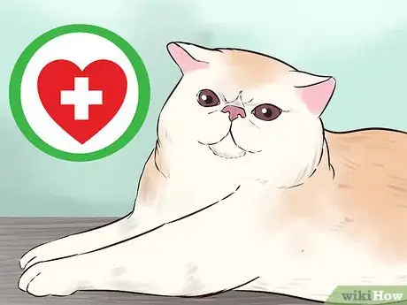 Image titled Take Care of an Exotic Shorthair Cat Step 7