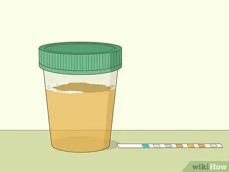 Image titled Reduce Foamy Urine Step 9