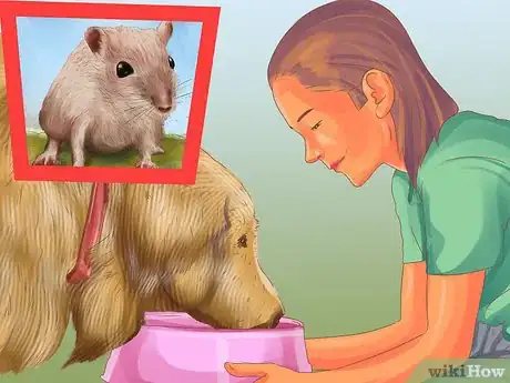 Image titled Choose a Place for Your Dog to Eat Step 4