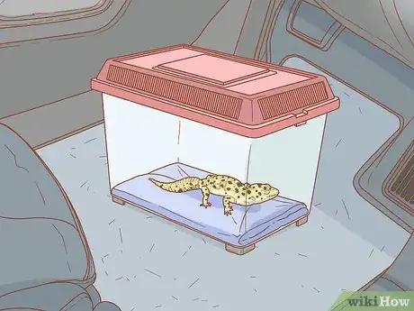 Image titled Safely and Properly Pack, Transport and Move Your Reptile Step 7