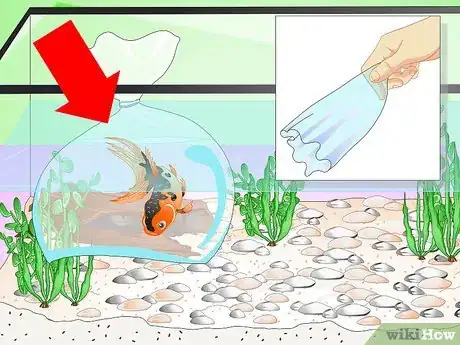 Image titled Set up a Fish Tank (for Goldfish) Step 9