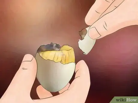 Image titled Eat Balut Step 9