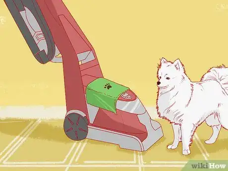 Image titled Teach Your Pet Not to be Scared of the Vacuum Cleaner Step 4.jpeg
