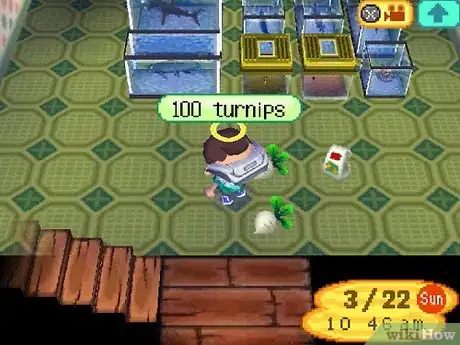 Image titled Make a Lot of Bells (Money) in Animal Crossing_ Wild World Step 37