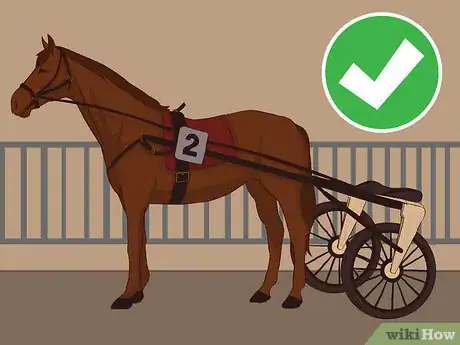 Image titled Buy a Racehorse Step 10