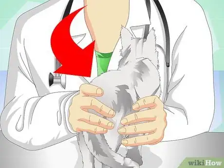Image titled Get Rid of Cat Dandruff Step 2
