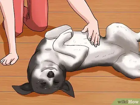 Image titled Rub a Dog's Tummy Step 7