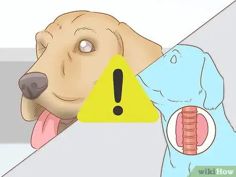 Image titled Determine Benadryl Dosage for Dogs Step 10